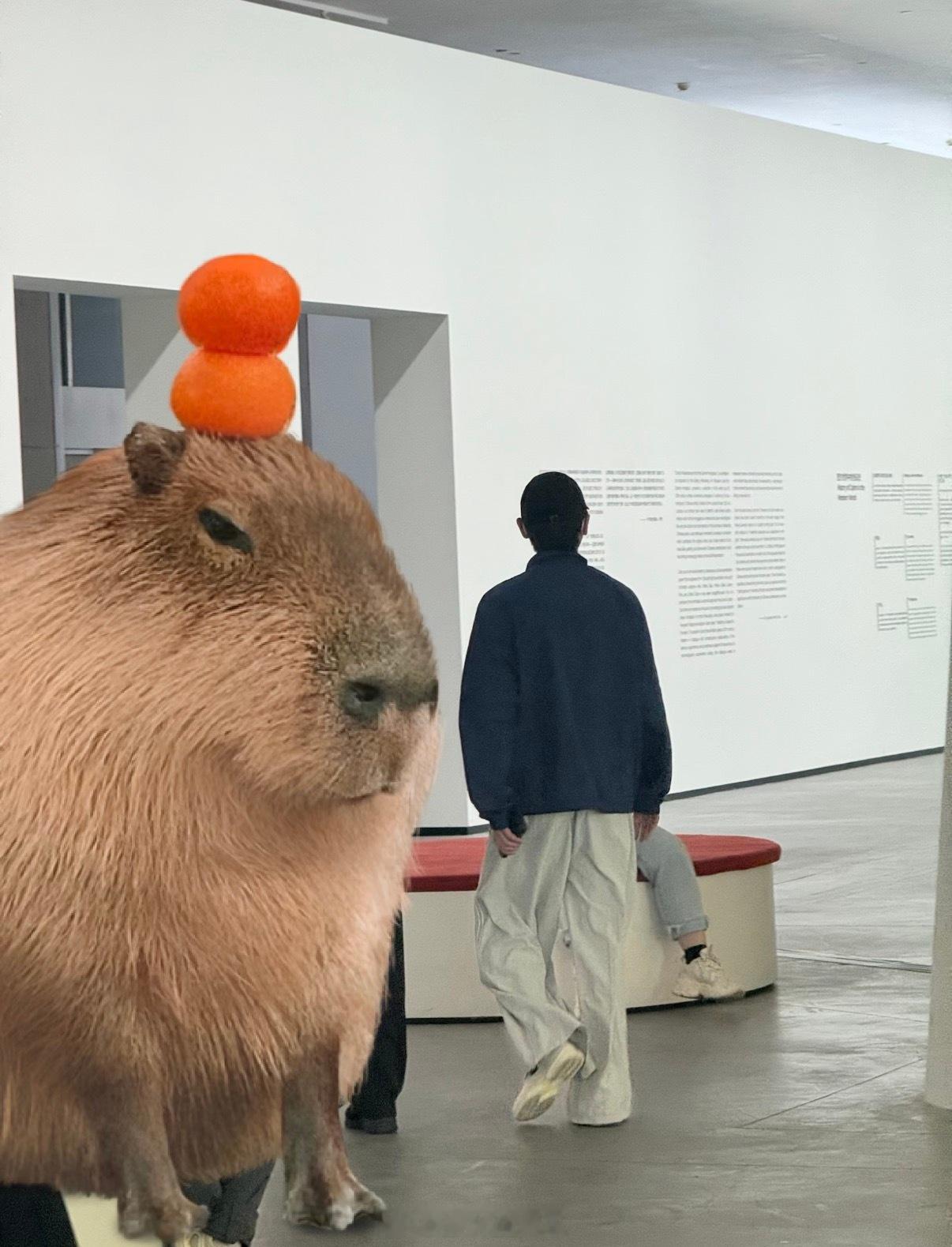 网友偶遇丞磊看展网友北京看展偶遇丞磊网友就这样轻松偶遇丞磊，这也太幸福了