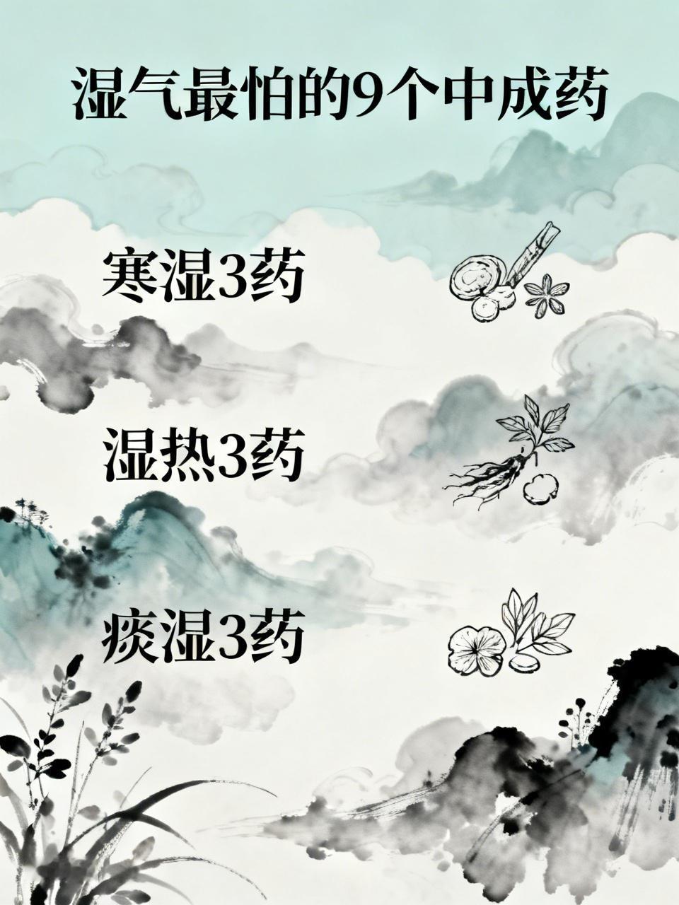 湿气最怕的9个中成药：寒湿3药，湿热3药，痰湿3药，一文总结一、寒湿3药