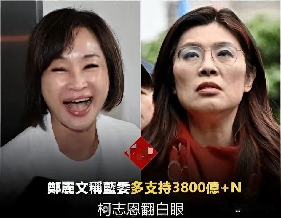 国民党主席郑丽文怎么也想不到，自己一手提拔的高雄市长参选人柯志恩，竟成了党内最狠