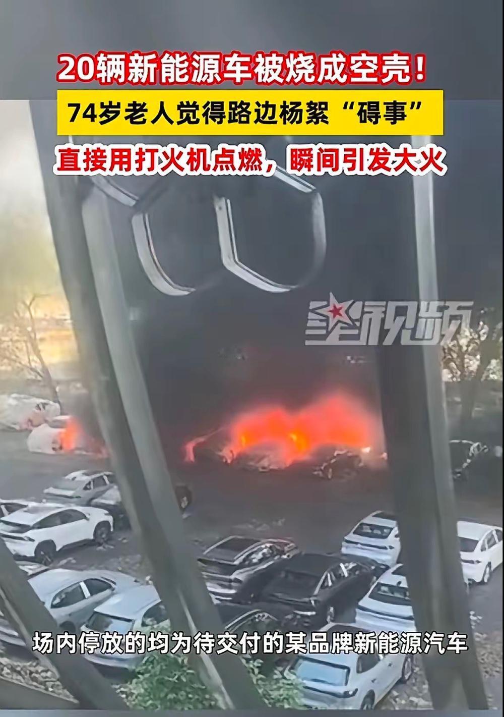 这新能源4S店简直是天降横祸！大连74岁大爷嫌路边柳絮挡路，随手拿打火机点了，结