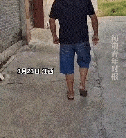 真的太暖心了😭老人养了十年的老狗，主人走了以后没人喂，邻居大哥看它可怜，喊它来