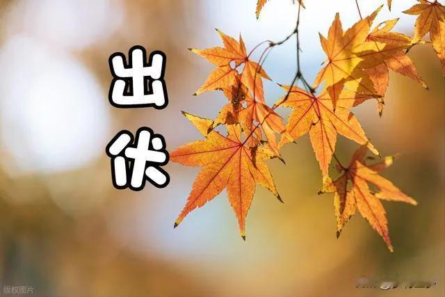 “冷不冷，就看出伏”，今日出伏，今年冬天特别冷吗？三伏落幕迎来出伏，民间老话