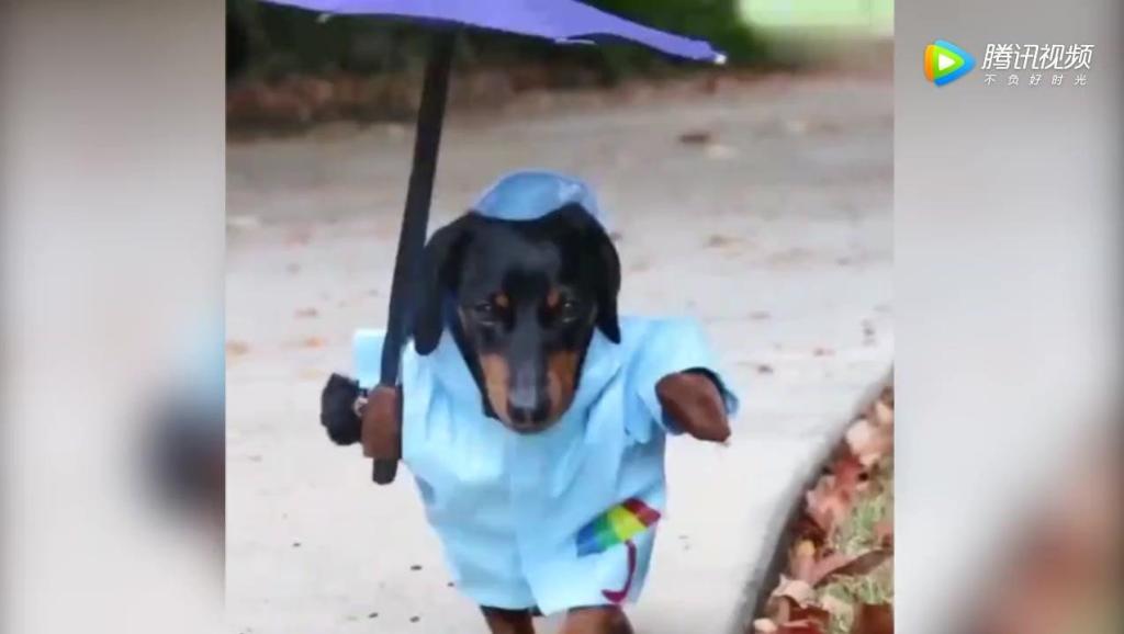 4693164307996129496.jpg?id=0