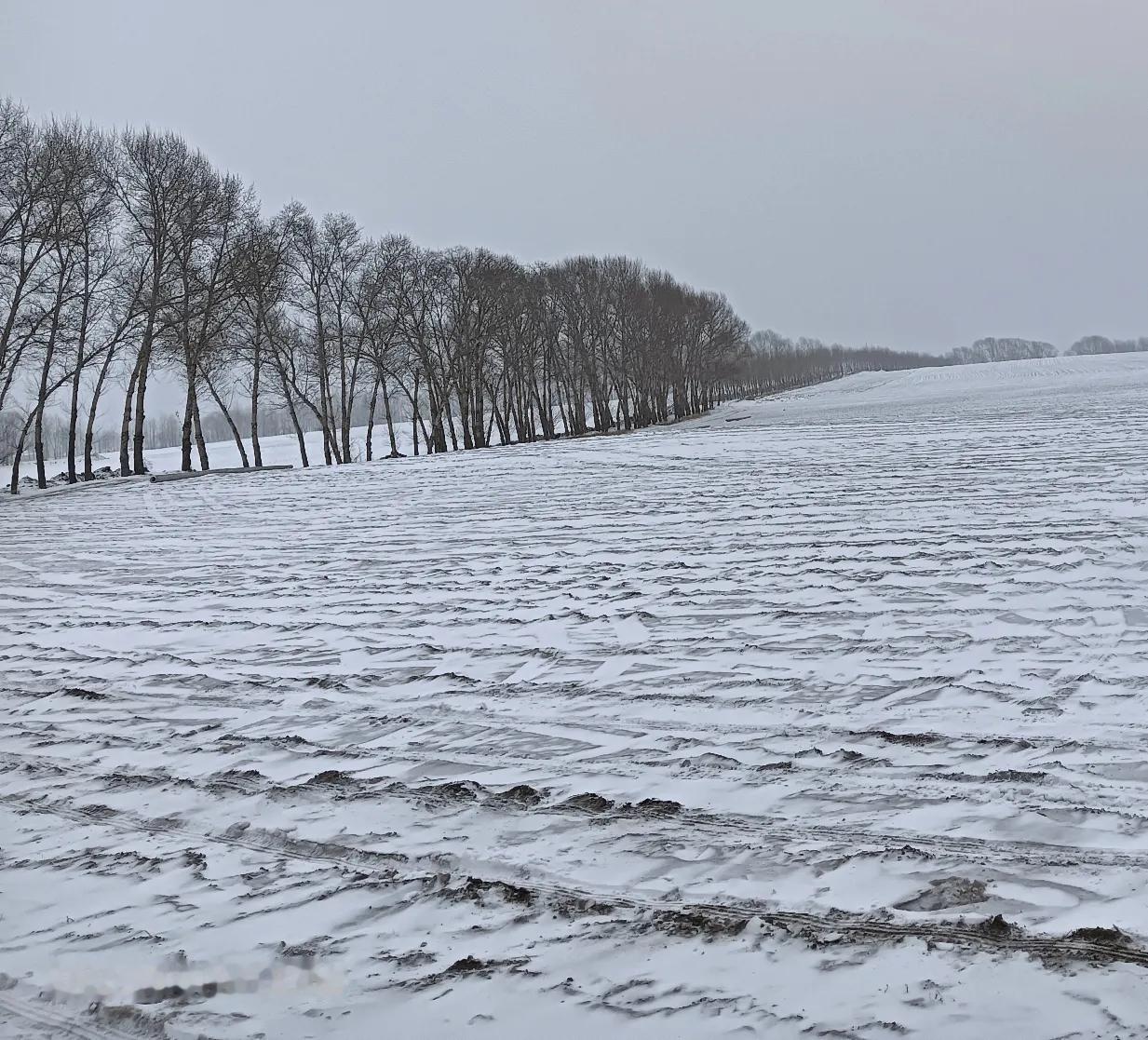 我这个梦和公公去世是巧合吗？那晚，我梦见好像在医院病房的场景，靠墙一排三张床，