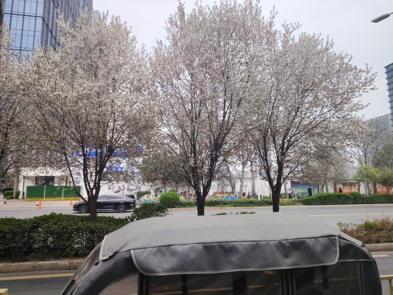 校长别让自夸毁了威信教师大会上，校长不停自夸，有老师怼了句：“校长能不老自己夸