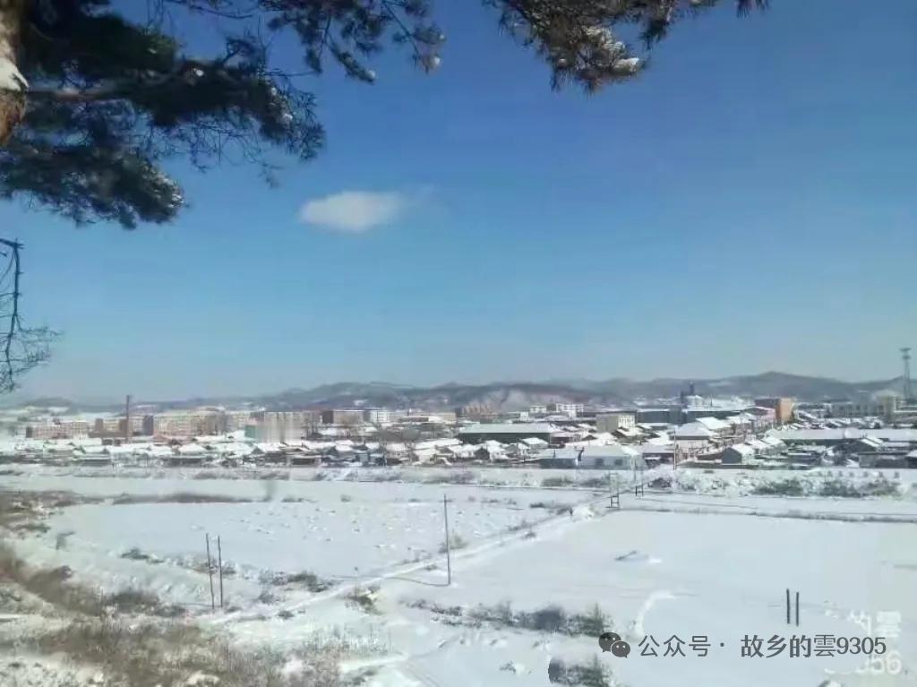 与痛风斗争的历程156今早起床，浑身关节都很安稳，没有往日那种隐隐的