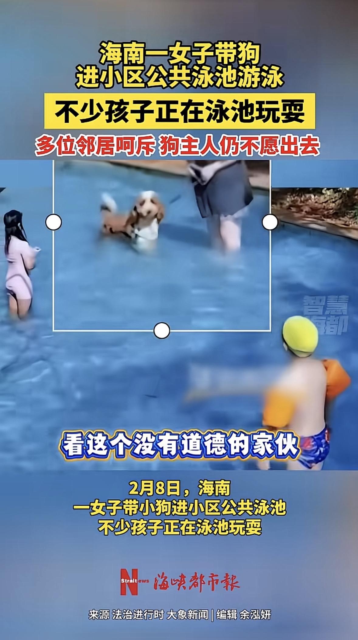 “狗不懂事，人也不懂吗？”海南，女子带着自家宠物狗，来到小区公共泳池里玩，邻居们
