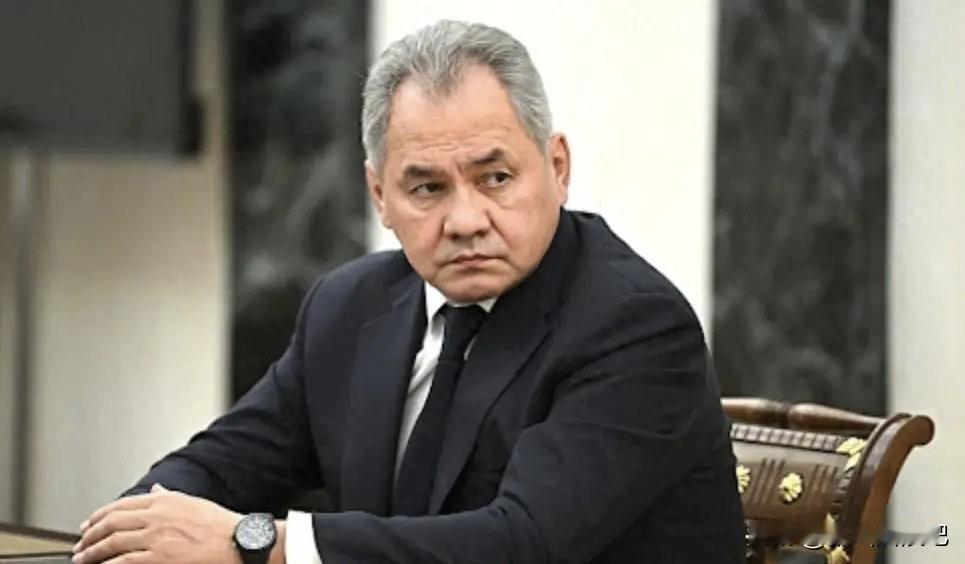 俄罗斯联邦安全委员会秘书绍伊古表示，核燃料再处理技术是和平利用核能的关键环节，而