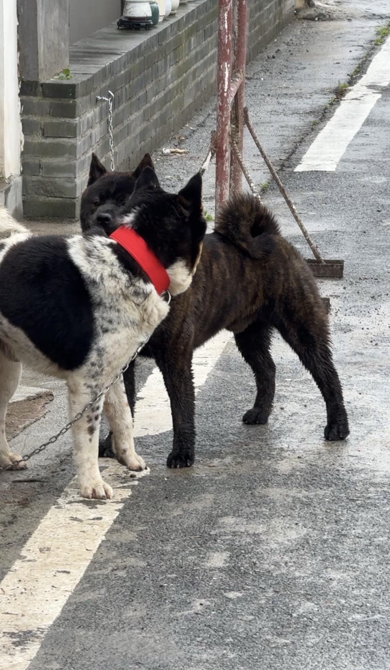 赚钱的意义是什么？赚钱的意义是取悦自己，但是那个度就在于：成年人就该有...