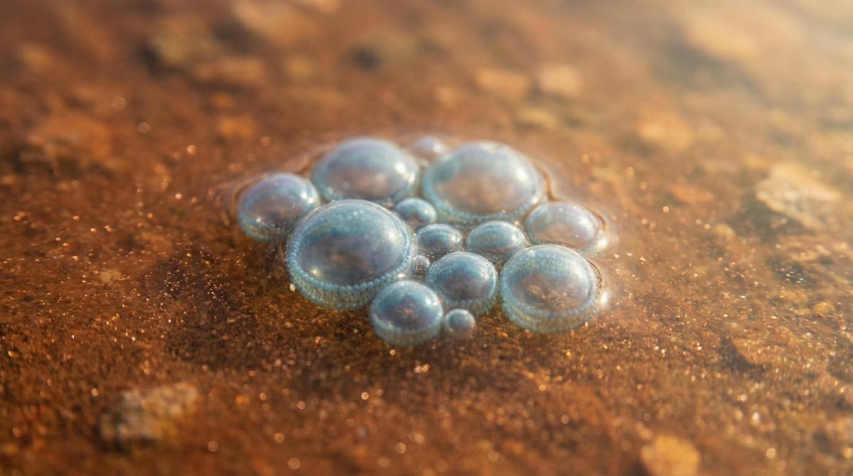 《火星真的可能出现过生命？这一次，科学家有点沉默了》很多人一听“火星生命”，第