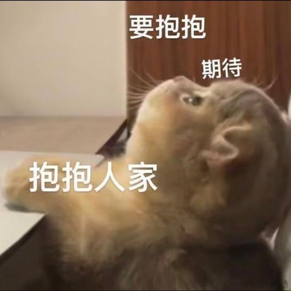 可爱猫咪。