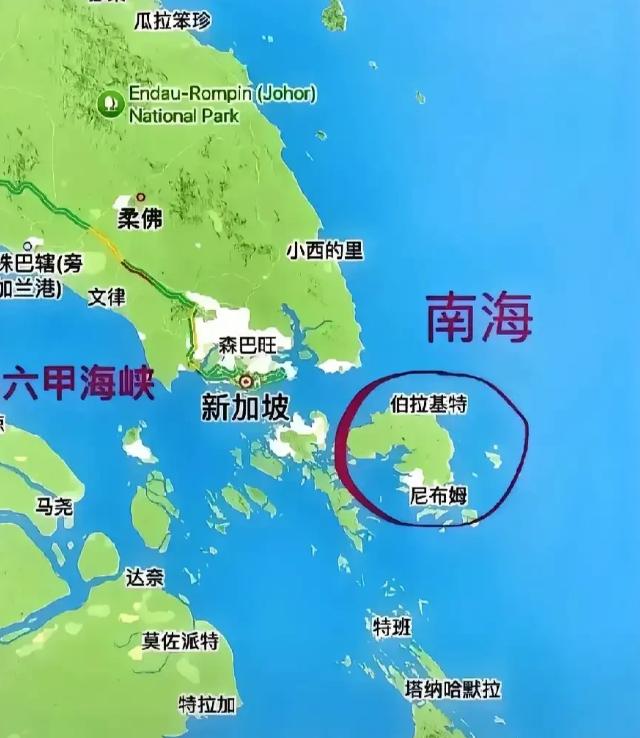 新加坡外长在越南召开的东盟国家会议上失态的发言，证明咱们做对了！ 在马六甲海