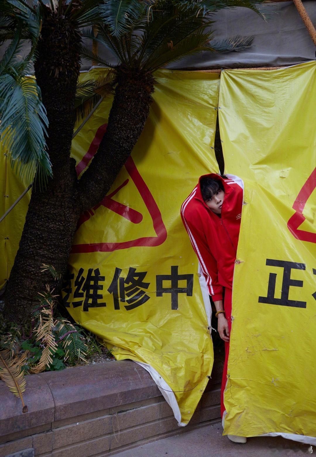 向佐是一位天生的艺术家吧？太前卫了。​​​
