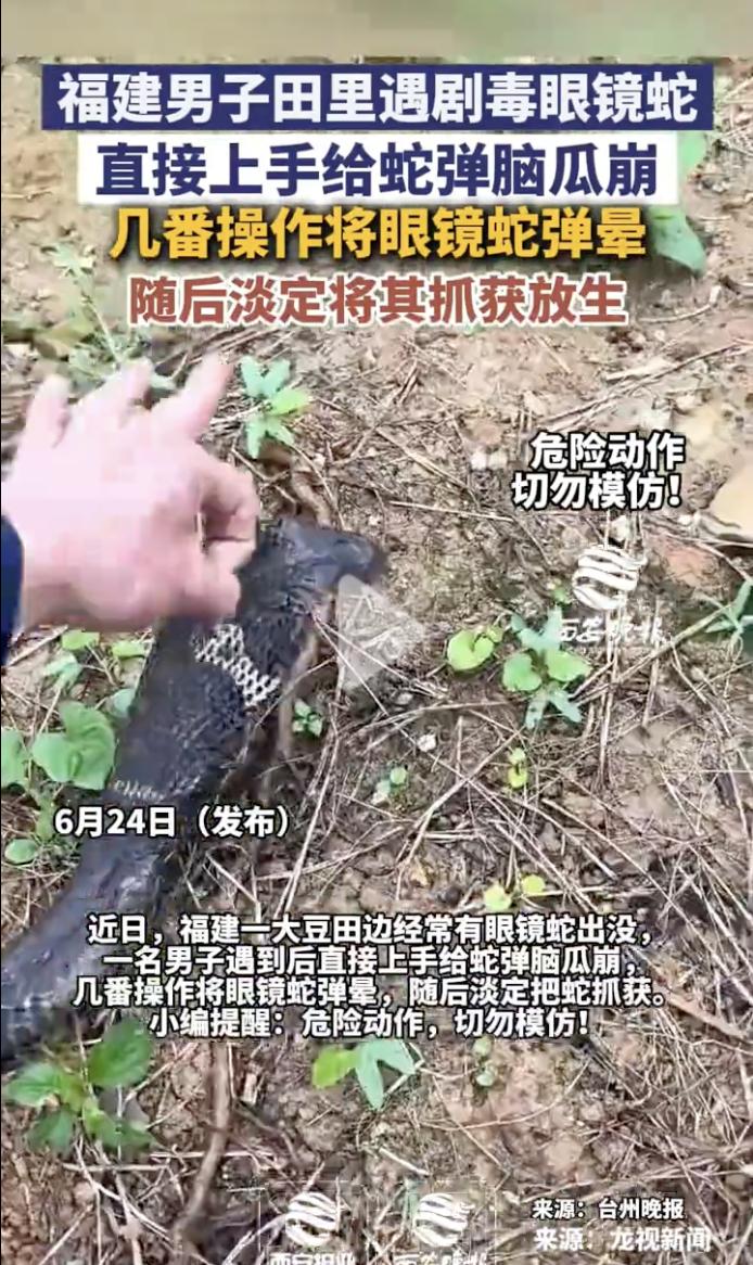 “奇耻大辱啊！”近日，福建，一名男子在田里干活时遇见剧毒眼镜蛇，本以为男子会掉头
