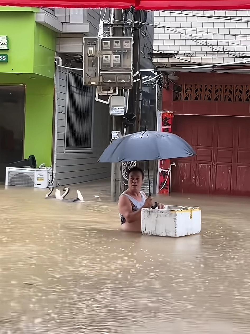 陆丰下大雨记得小时候年年都一次发洪水，这个时候就还算松弛的，洪水退后那种骂骂