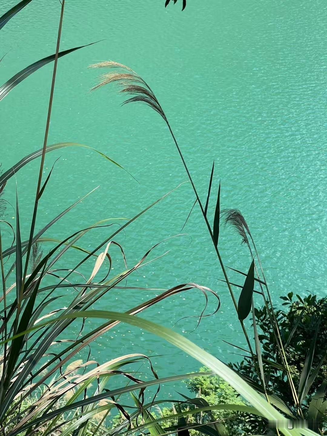 一个人活明白了的表现，就这五种：1.话越来越少，事越做越稳不争不辩，不吵