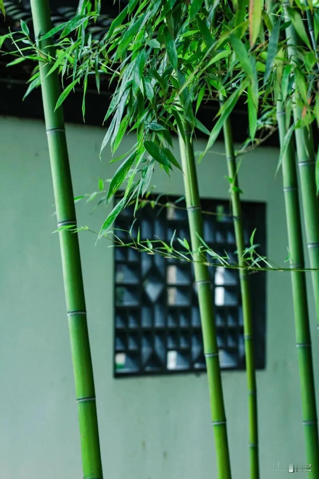 上联:桃花树下谁邀酒下联:竹影窗前月抚琴横批:闲情雅致