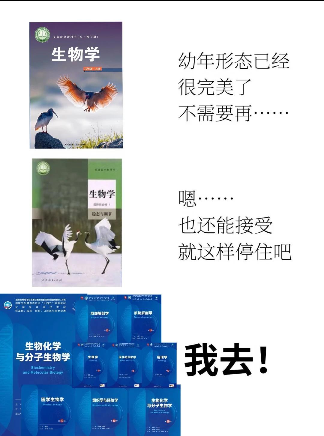 我去！咋没人P这个。医学梗图