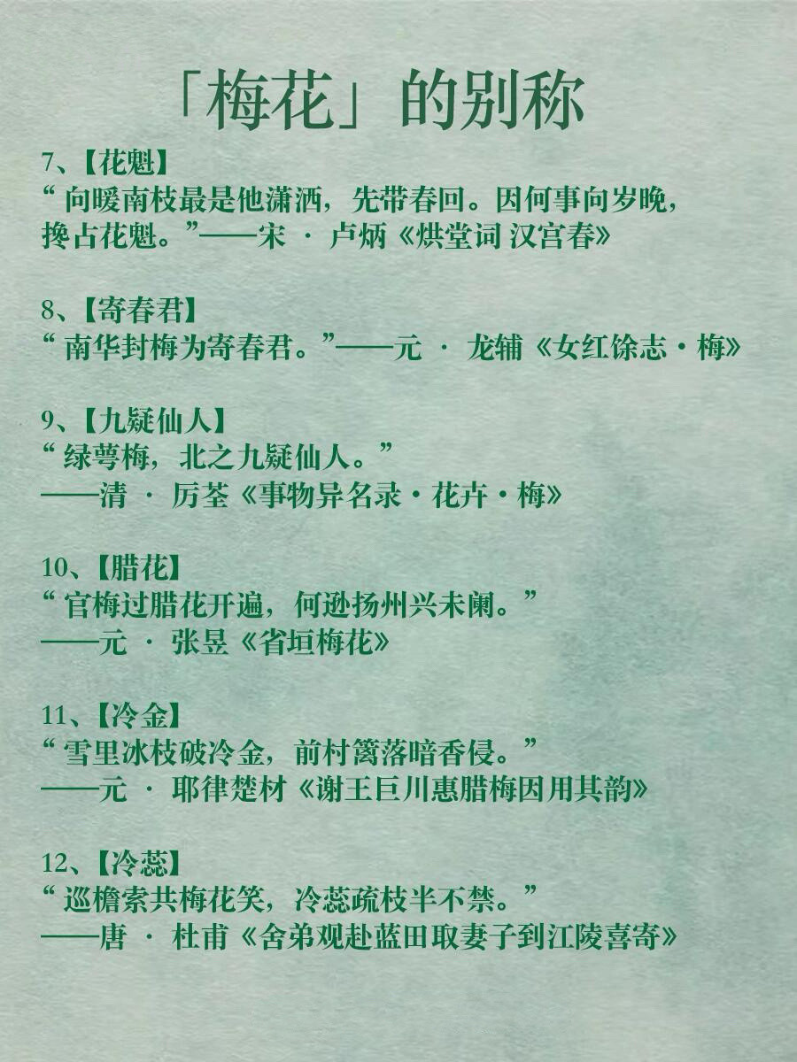 古人对万物的雅称美到极致——《梅花》
