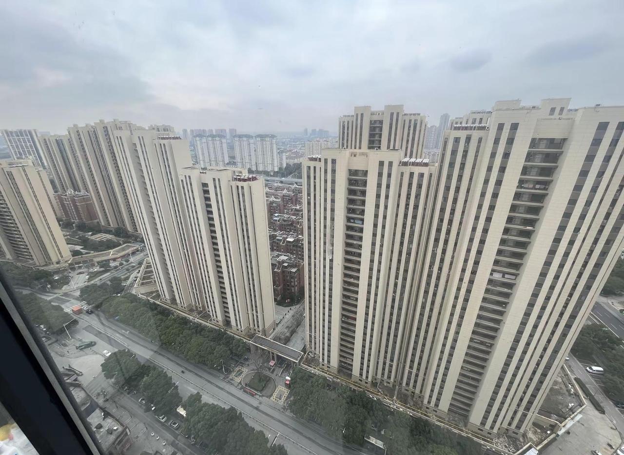 今天终于出太阳了……