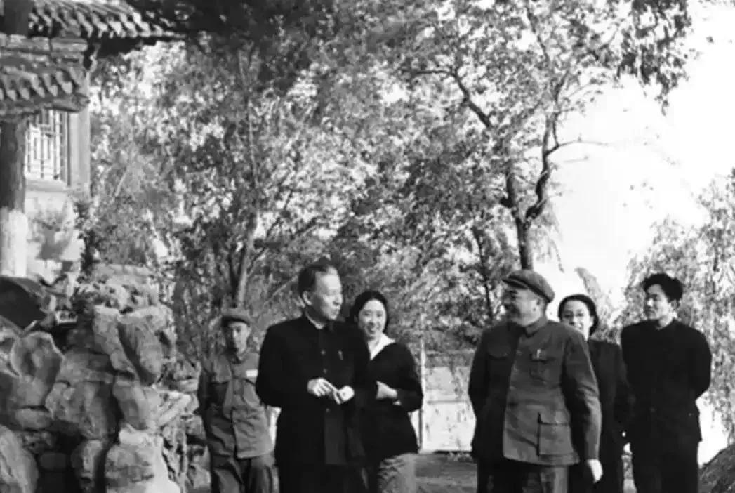 珍贵老照片！1952年初夏刘少奇夫妇与彭德怀夫妇中南海漫步这张拍摄于1952年