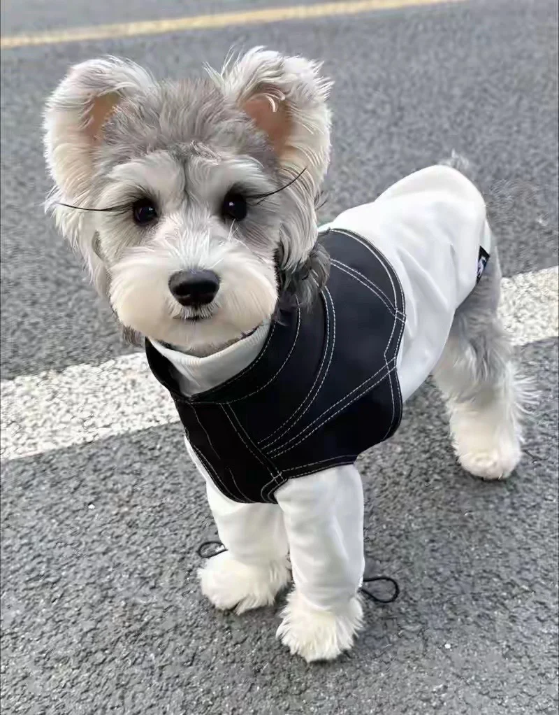 心理学知识：你的直觉，是最精准的人际预警 很多人都有过这种体验：初见某...