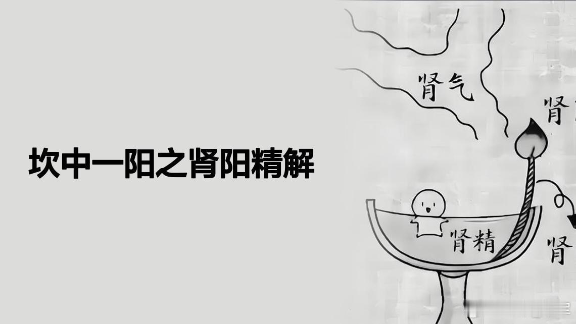 肾阳是人体生命活动的根本，具有温煦全身、推动脏腑功能的作用，其核心在于“坎中一阳