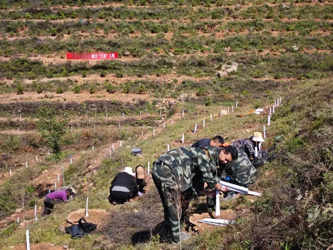 砸下5000多万！山西高平要给太行山"披绿装"。高平市最近干了一件大事——南