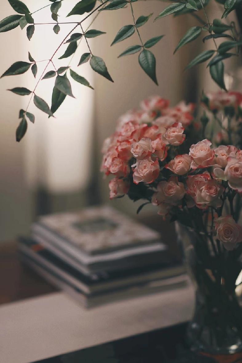 最了不起的一段话:“成长的核心,是认知,而不是年龄;突破的关键,是行动,而不是空