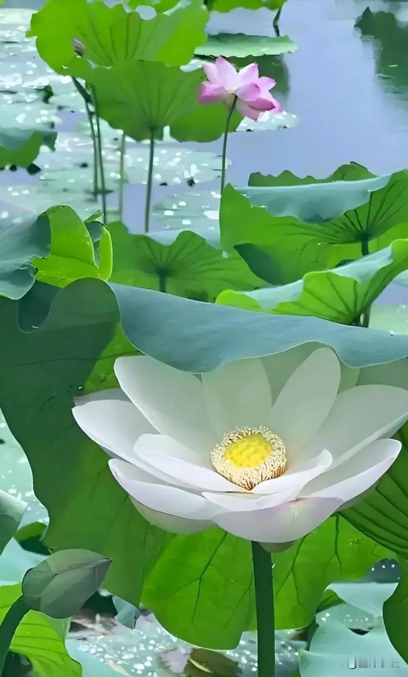 一位修行老师父对我说过这样一段话：“如果你在一段关系里处得特别辛苦、极其煎熬