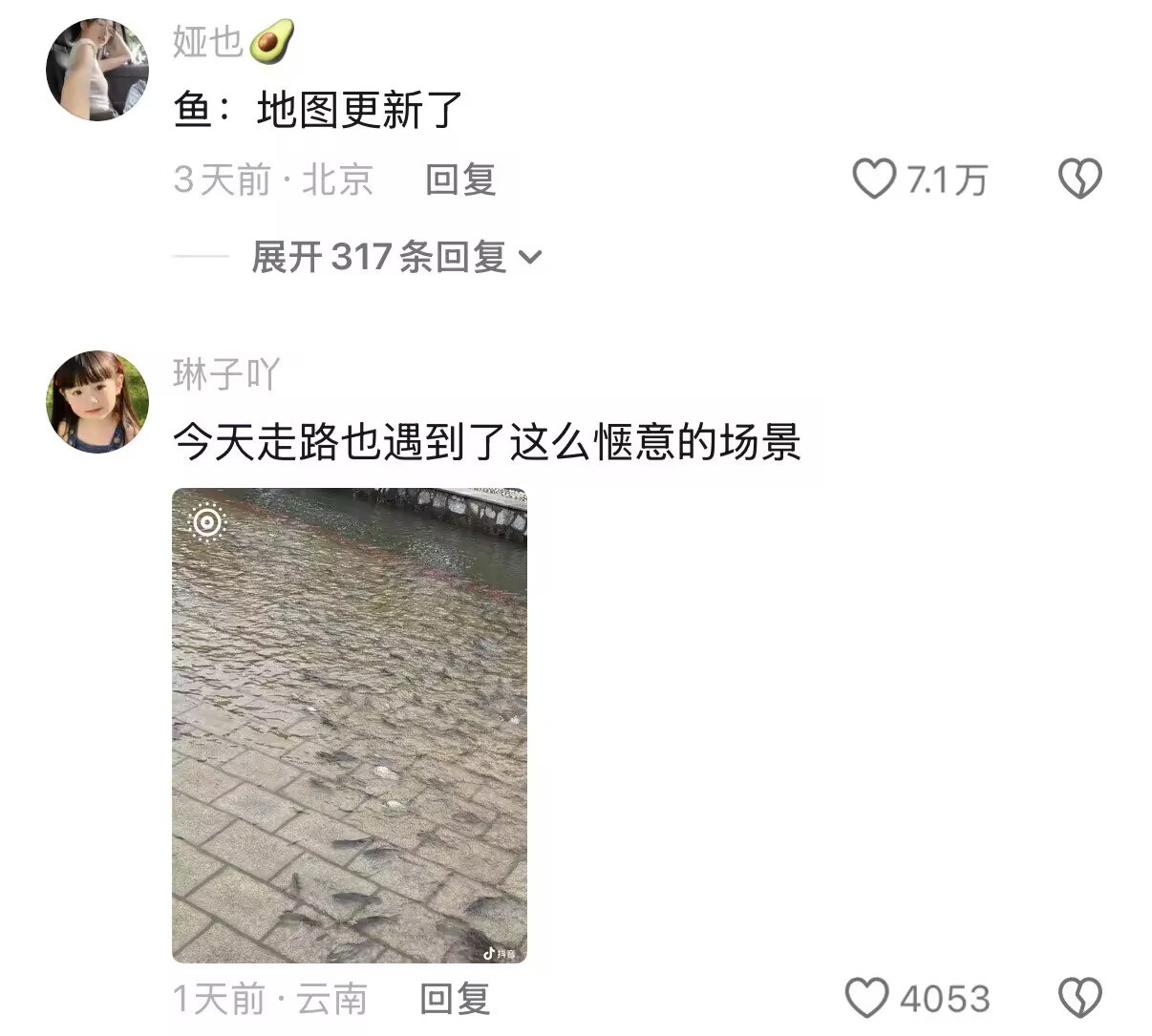 鱼:这个世界突然变得好大好美好惬意