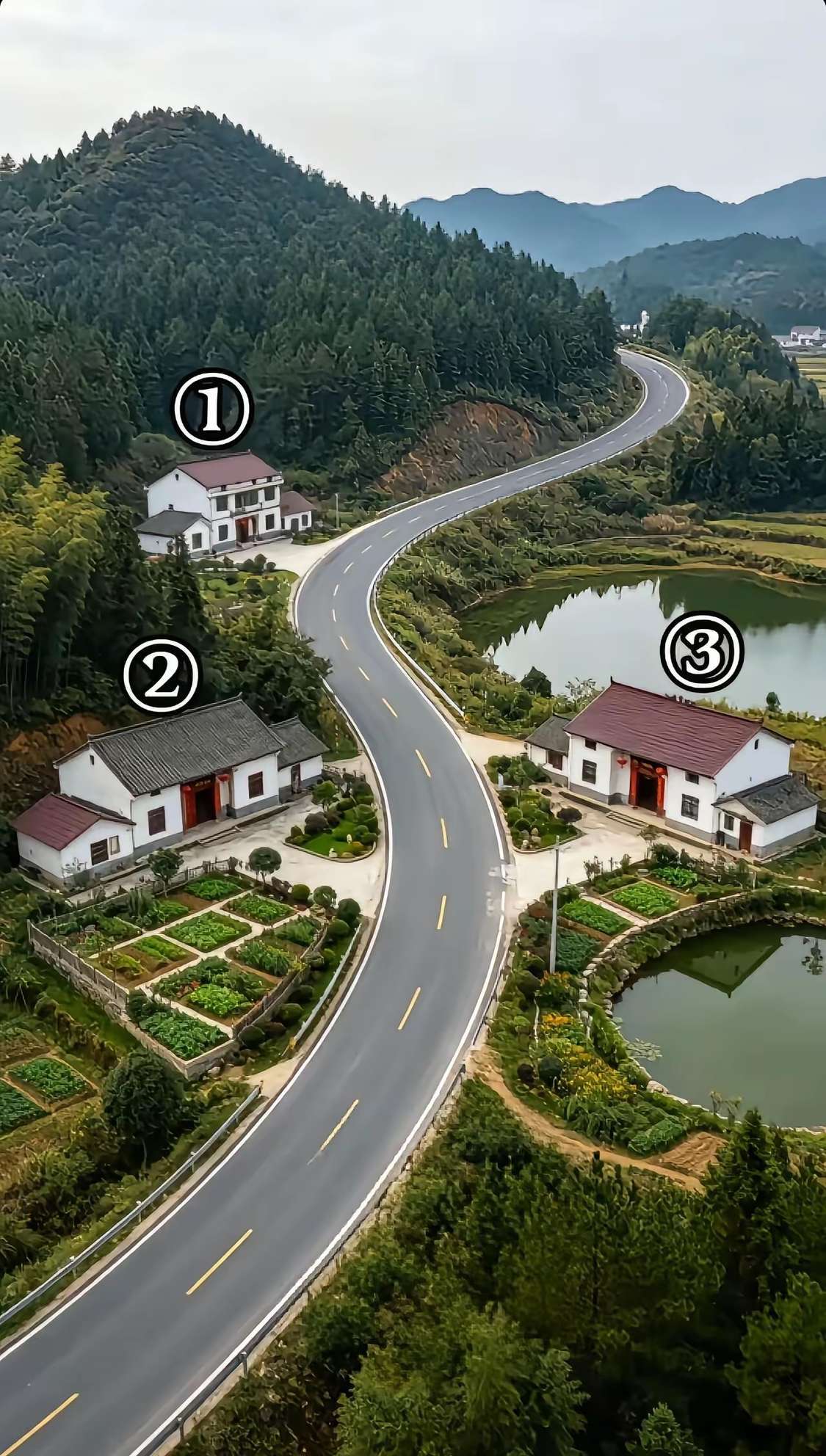 这3栋房子，哪个位置最好？