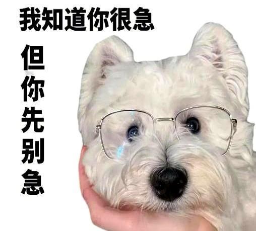 领导在会议室干等，文件还在打印机里打滚。我蹲在地上抠纸，心里算着：再卡一次，