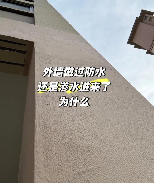 这几天外面下暴雨，隔壁邻居家墙皮湿了一大片，水顺着踢脚线往地板上淌。她气得直跺脚
