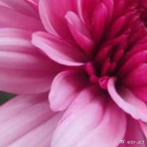 每日一善每日一善无论有多困难，都坚强地抬头挺胸，人生是一场醒悟，不要昨天，不要