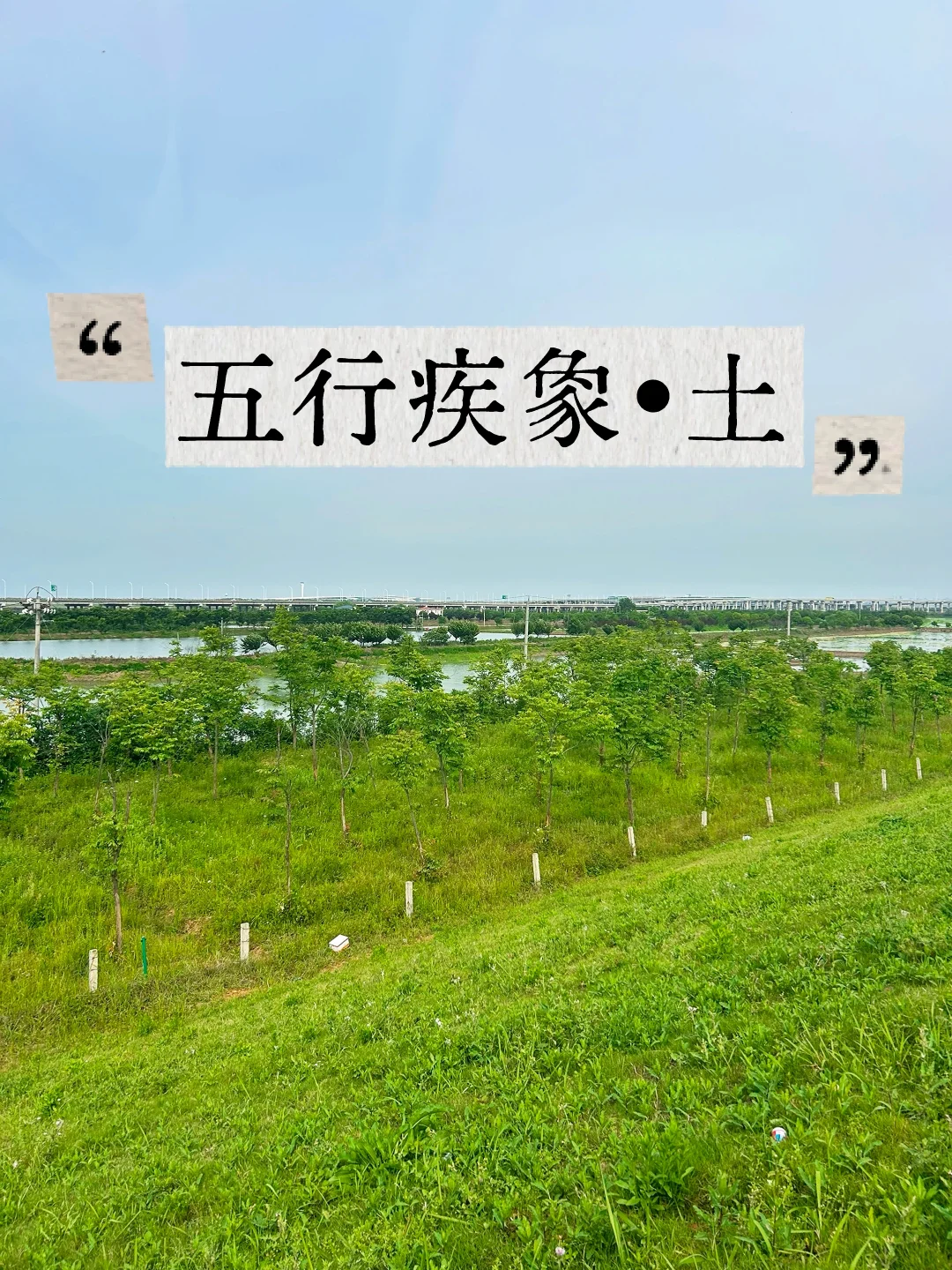 五行疾象•土