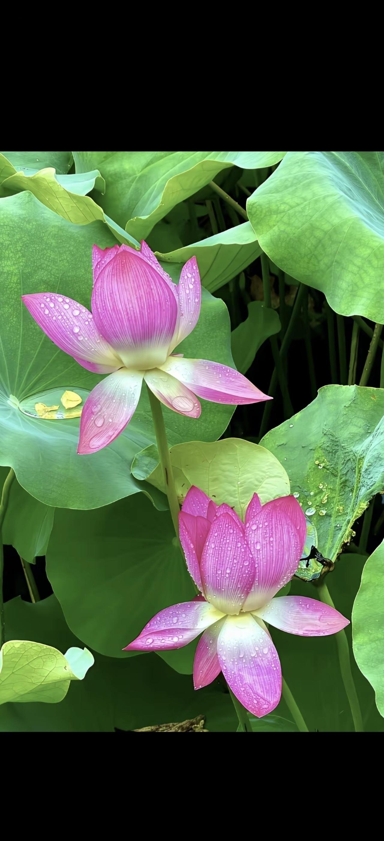 美好时光