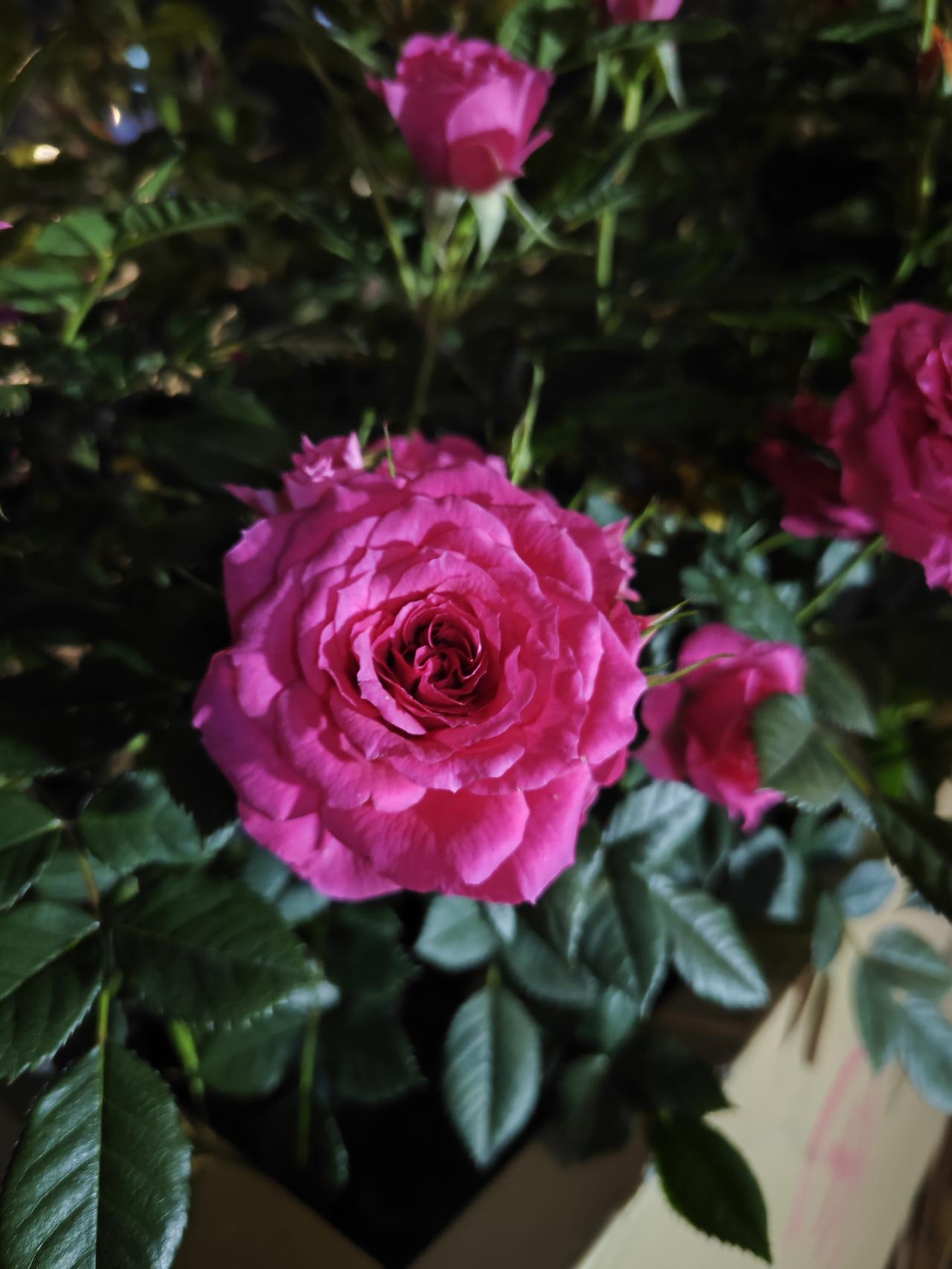 别瞎折腾！中老年养生，做好这5件事比吃补品强10倍！中老年朋友们听句劝，别