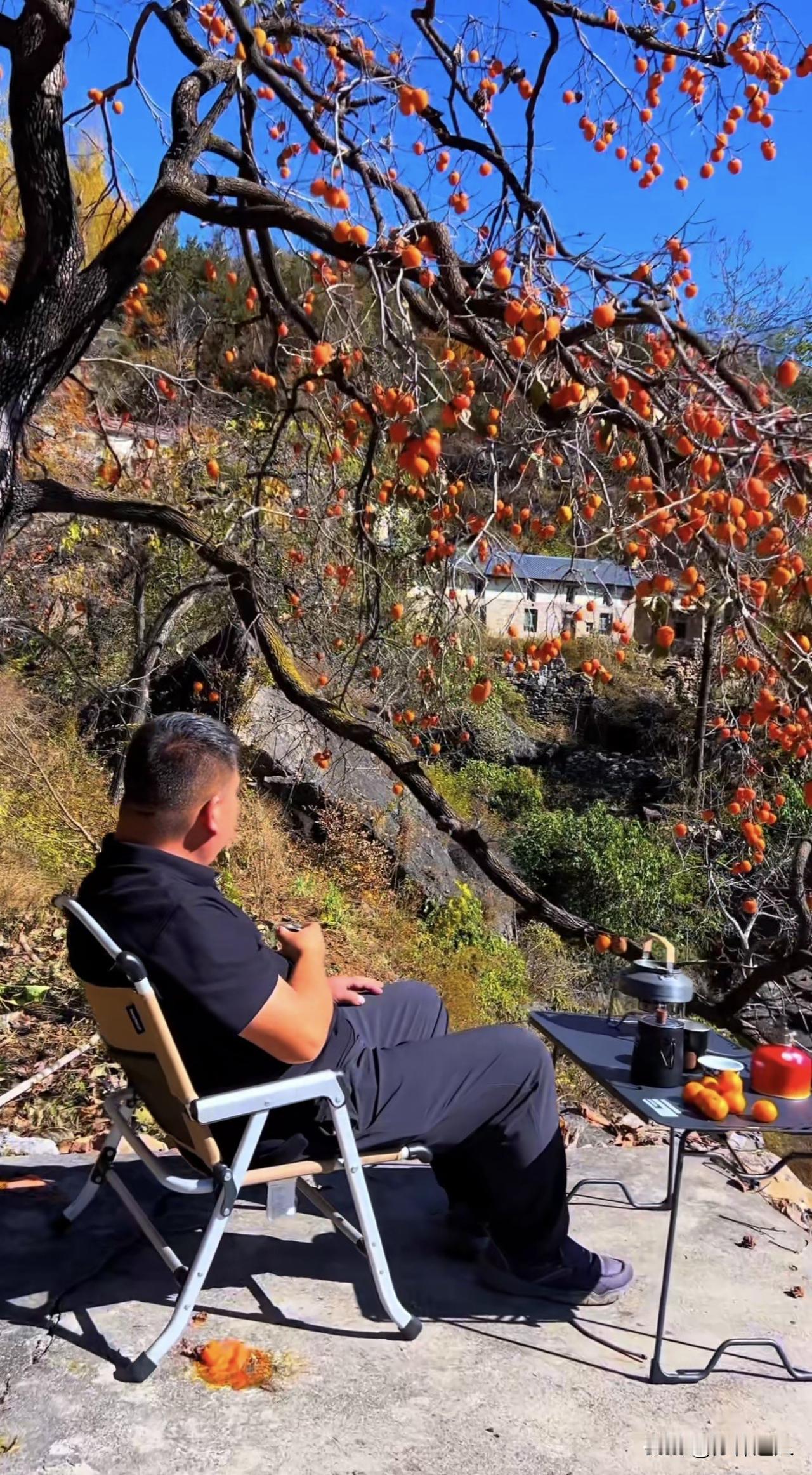 新思维：你没大彻大悟，说明还没吃够苦本人觉得，所有大彻大悟，都是千疮百孔后的