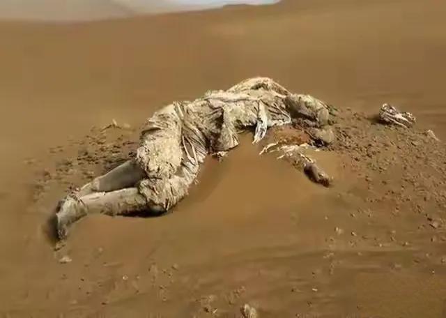 罗布泊惊现干尸，警方破案后大惊：竟是失踪58年的功臣！沙漠的风刮了不知道多少