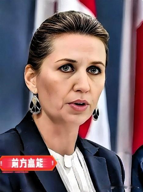 就在昨天！丹麦对外宣布了！当地时间11月14日，丹麦官宣完成向乌克兰交付价