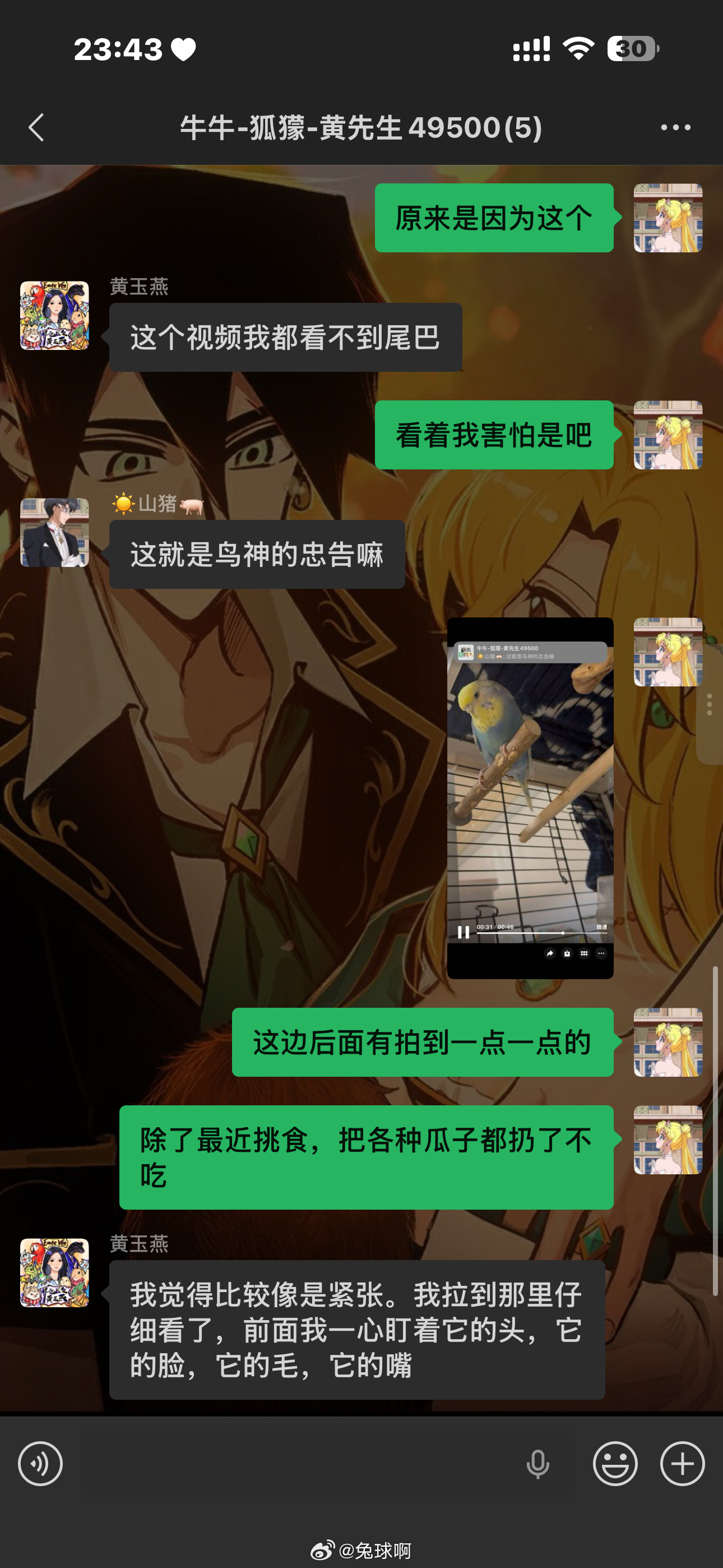 笑死我了…我还以为咋了，原来是跟我不熟被我凑近盯着看吓得发抖
