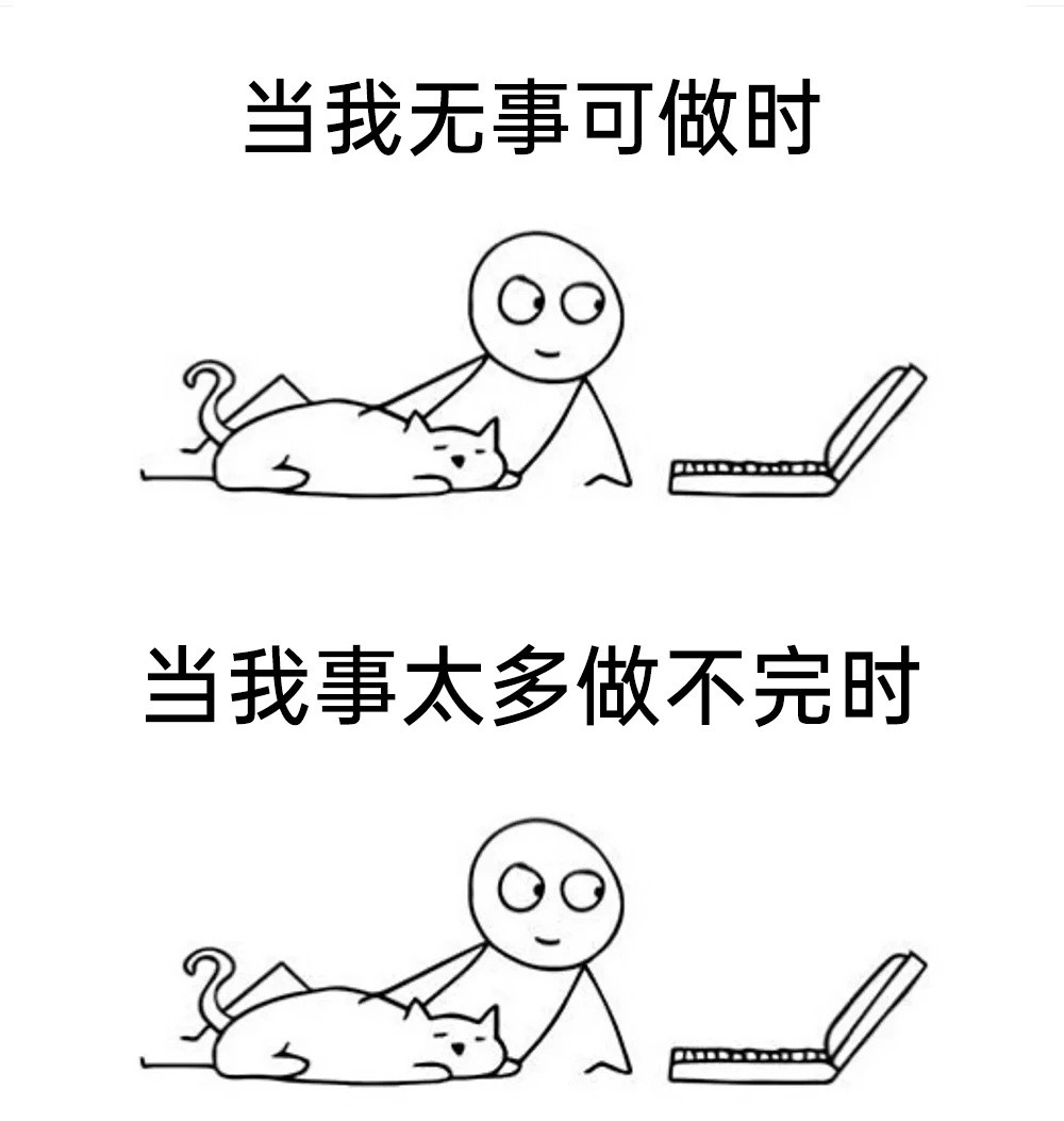 有事没事撸会猫meme​​​