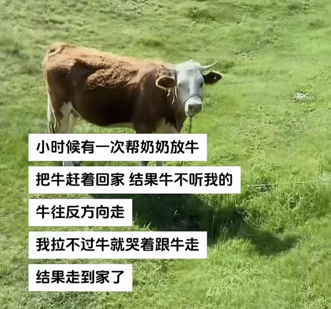 从此你坚信，地球是圆的。