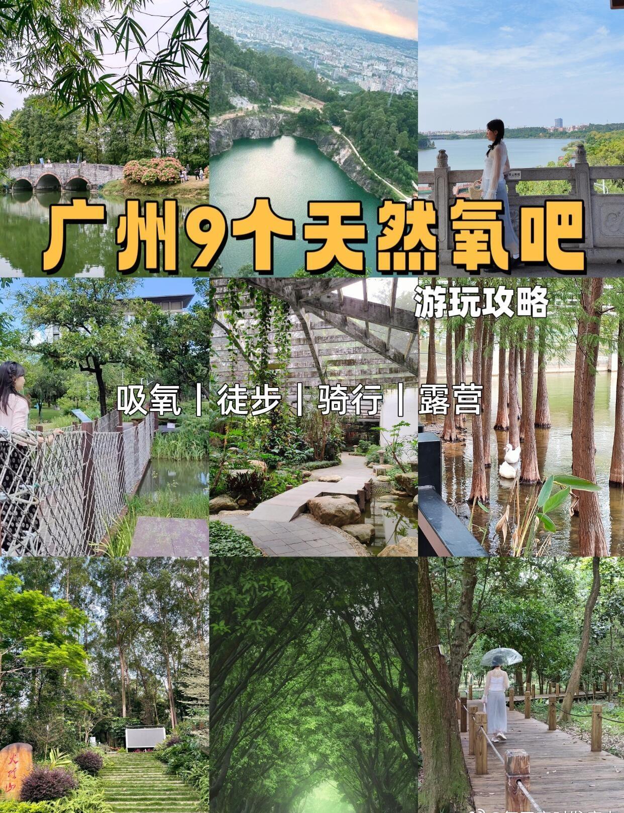 广州周末吸氧指南｜9个森林氧吧逃离城市🌿不想人挤人？这9个公园把森林/湖景/