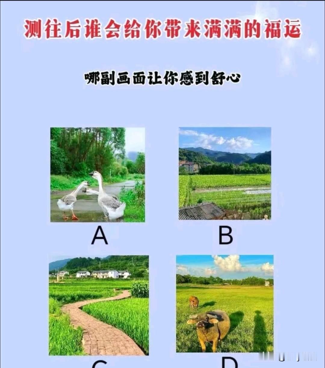 哪副画面让你感到舒心
