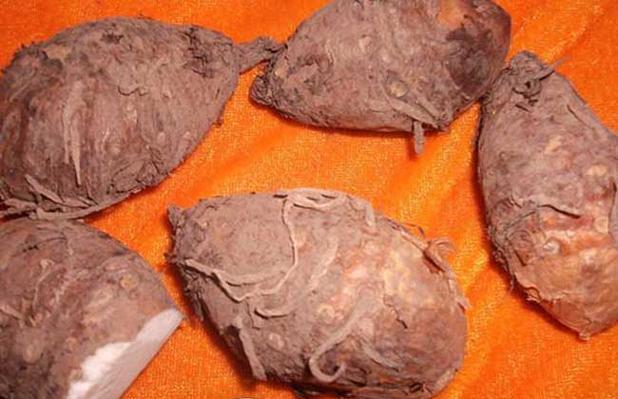 痰湿久了，1味中药材替换陈皮，强力除痰，软坚散结消囊肿中医里说“无痰不成核”