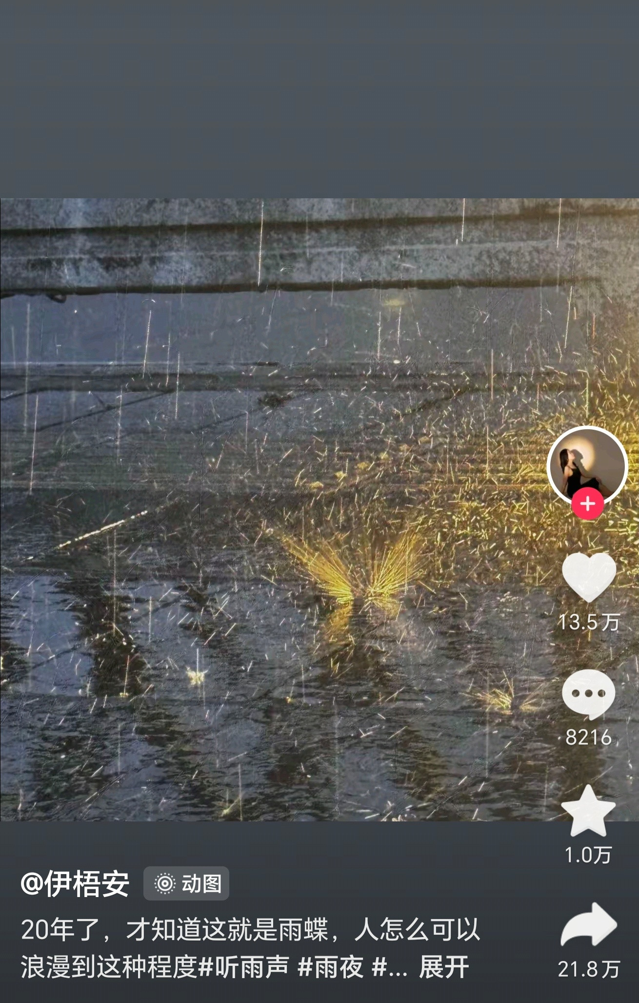 人怎么可以浪漫到这种程度