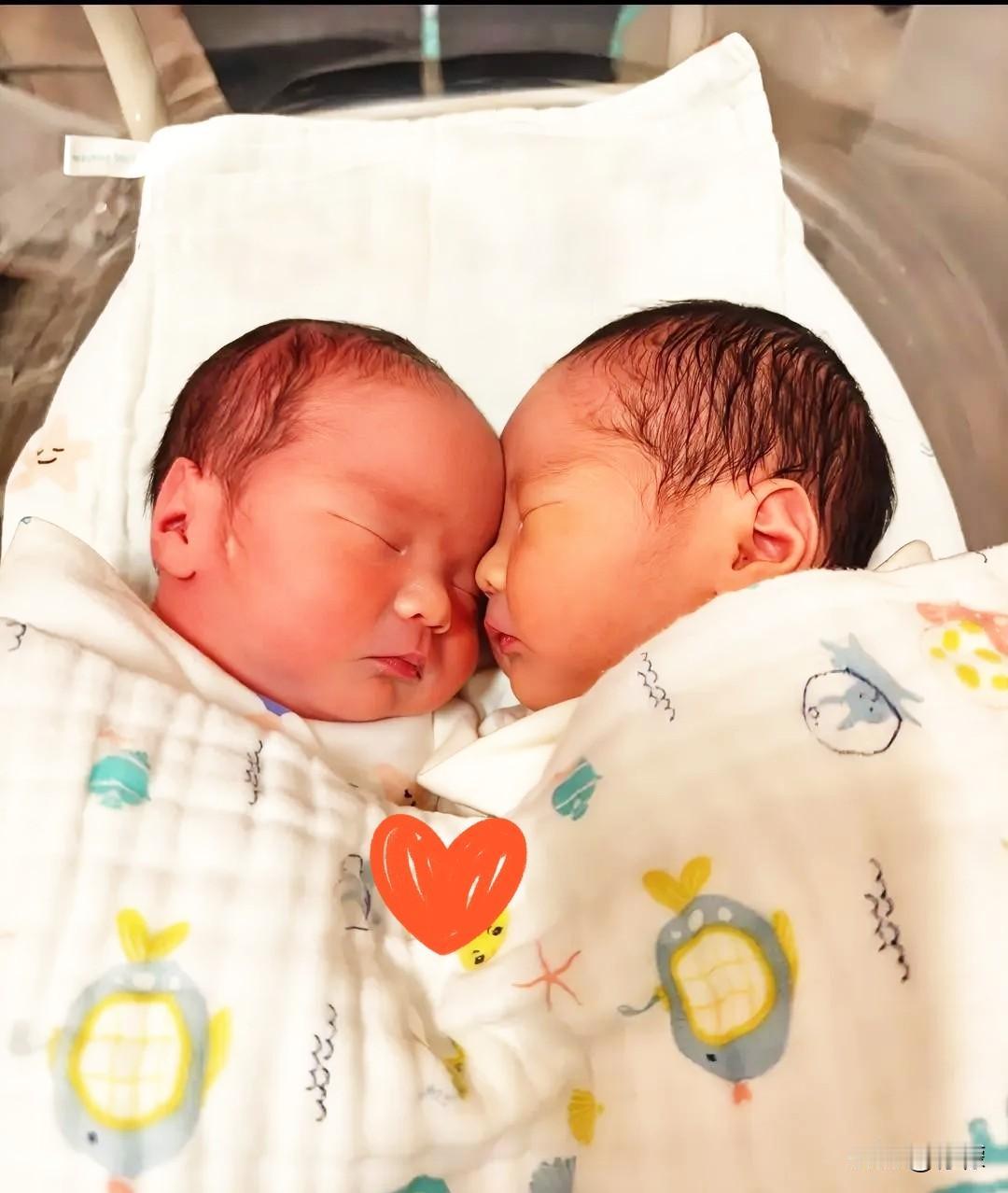 儿媳怀胎10月，生下大孙女爷奶备下金镯红包，儿媳却说她辛苦生下的孩子要随母姓