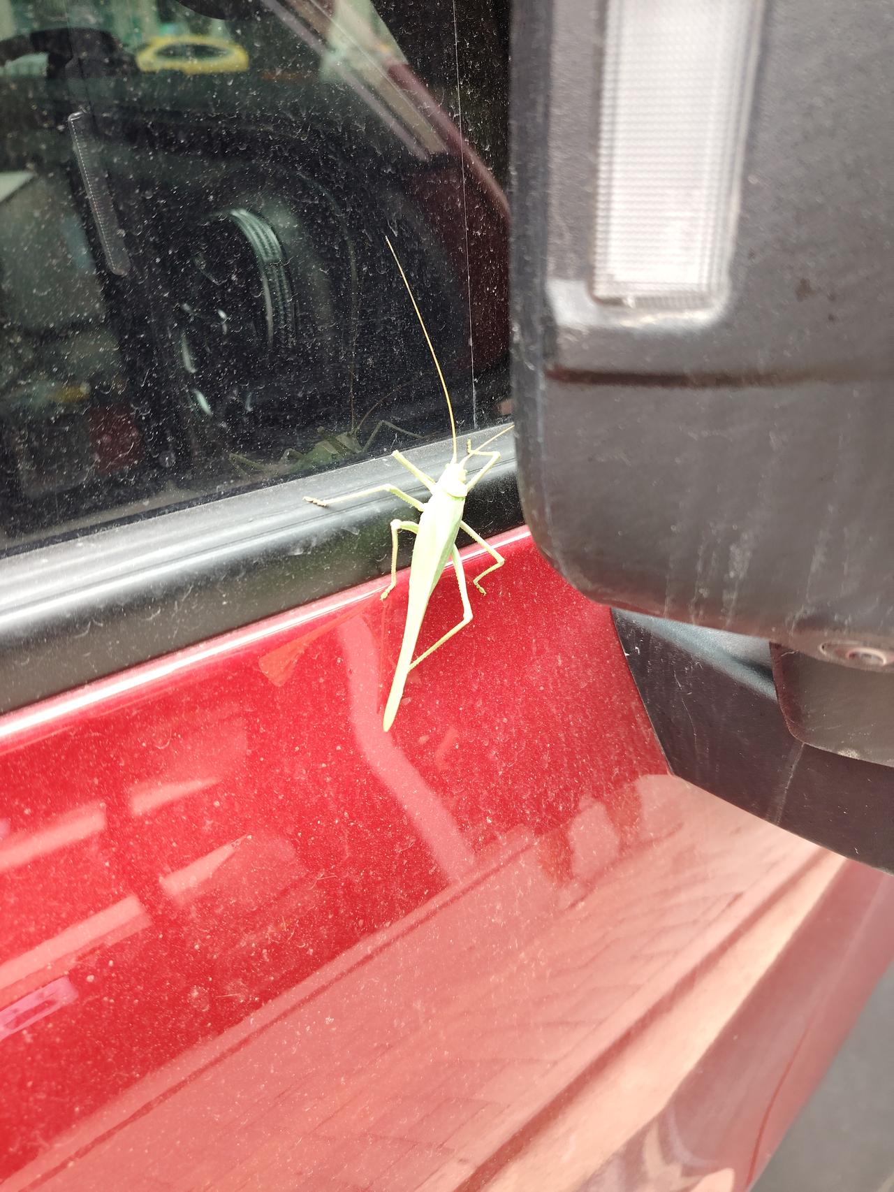 现在的人都戒烟戒酒是为了什么?戒烟戒酒是对自己的负责，烟盒上都写了吸烟有害健康